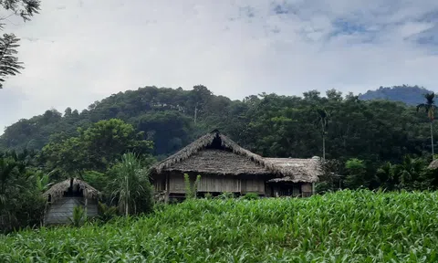 Bất chợt gặp khói lam chiều