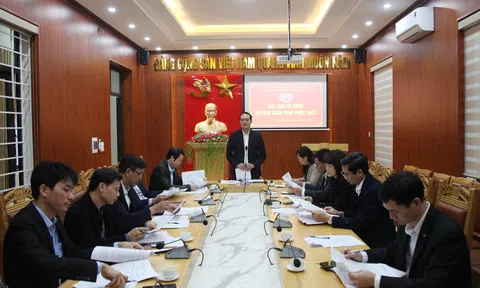 Hội báo Xuân Vĩnh Phúc 2024 sẽ khai mạc ngày 23/2