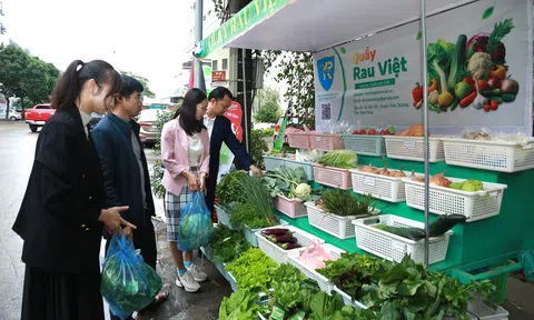 Vĩnh Phúc: Khai trương Quầy rau Việt