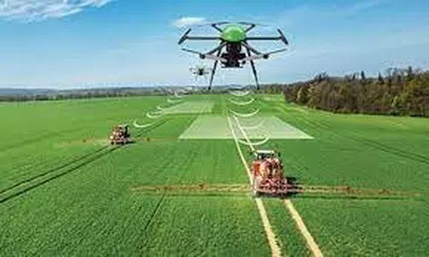 Công nghiệp hoá nông nghiệp hay hoá công nghiệp từ nông nghiệp?