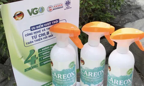 Careox: Thổi hơi xuân vào ngôi nhà bạn với sản phẩm thiên nhiên