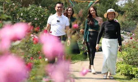 Vĩnh Phúc: Khai trương  "Rose Garden" (Vườn hồng) trong khu du lịch Flamingo Đại Lải 