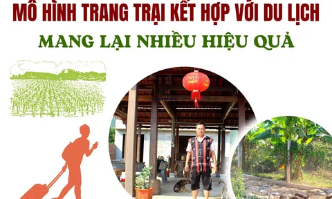 Đà Nẵng: Mô hình trang trại kết hợp với du lịch mang lại  hiệu quả