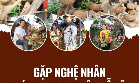 Gặp nghệ nhân ghép hoa lan trên gỗ lũa