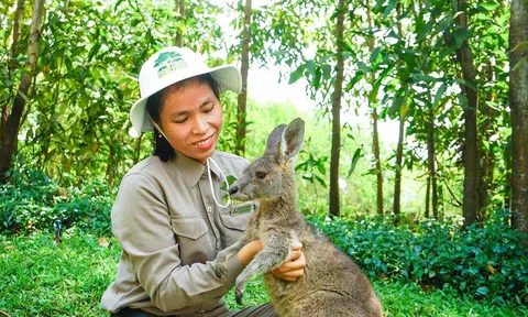 Thầm lặng những “bảo mẫu lênh đênh ngày đêm” cùng động vật hoang dã ở River Safari