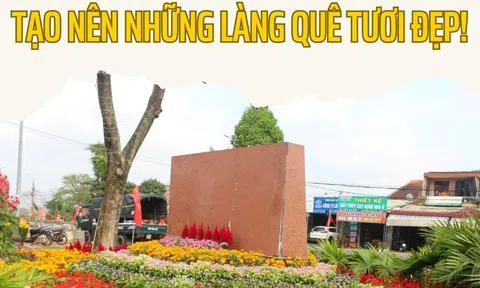 Đà Nẵng: Xây dựng nông thôn mới kiểu mẫu ở Hoà Vang tạo nên những làng quê tươi đẹp!