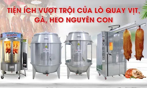 Những tiện ích vượt trội của lò quay vịt, gà, heo nguyên con