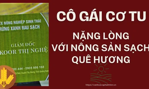 Cô gái Cơ Tu nặng lòng với nông sản sạch  quê hương