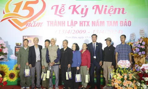 Vĩnh Phúc: Hợp tác xã nấm Tam Đảo có 9/20 sản phẩm đạt tiêu chuẩn OCOP 3 sao, 4 sao