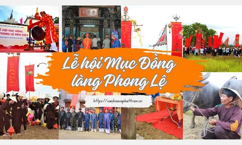 Đà Nẵng: Lễ hội Mục Đồng làng Phong Lệ