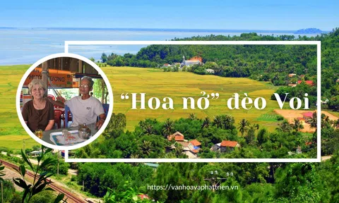 Thừa Thiên Huế: “Hoa nở” đèo Voi