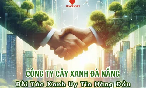 Công ty cây xanh Đà Nẵng - Đối tác tuyệt vời cho dự án cảnh quan xanh