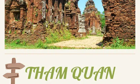 Quảng Nam: Tham quan “quần thể đền tháp Chămpa” kỳ ảo giữa rừng thiêng