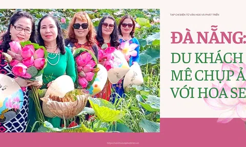 Đà Nẵng: Du khách mê chụp ảnh với hoa sen