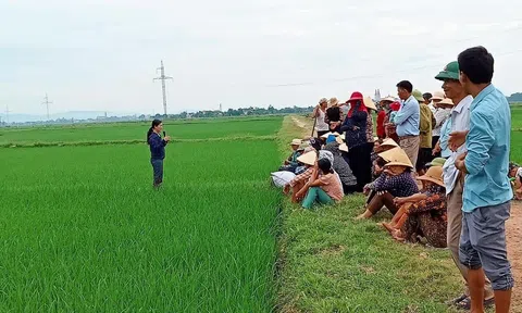 Nghệ An: Đặc sắc phong trào thi đua “Dân vận khéo” tại xã Khánh Thành (huyện Yên Thành)