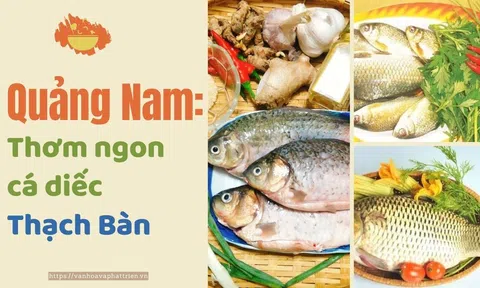 Quảng Nam: Thơm ngon cá diếc Thạch Bàn