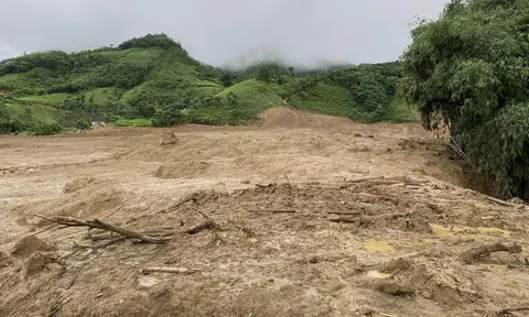 Thoảng nghĩ sau bão Yagi