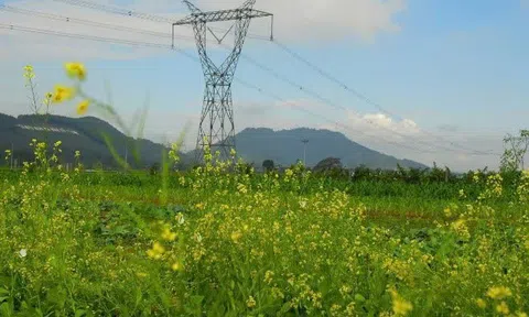 EVN: Nỗ lực hoàn thành vượt tiến độ công trình là hành động thiết thực nhất chống lãng phí trong đầu tư xây dựng