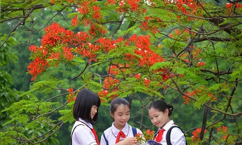 Bâng khuâng tháng 5