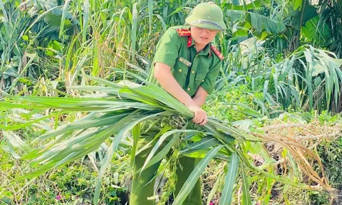 Hưng Yên: Xã Nghĩa Trụ đồng lòng xây dựng môi trường sống xanh - sạch - văn minh