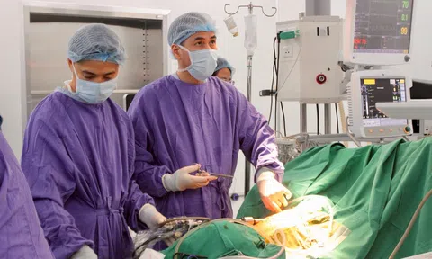 “Bàn tay vàng” hai thập kỷ chinh phục kỹ thuật phẫu thuật nội soi phức tạp gia nhập Vinmec Hạ Long