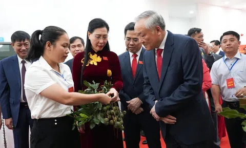 Dấu ấn Quảng Ngãi qua không gian trưng bày thành tựu và sản phẩm đặc sắc