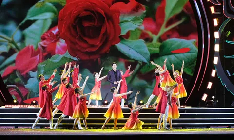 Đồng Tháp: Vận động các nguồn lực thực hiện Festival Hoa - Kiểng Sa Đéc lần thứ II năm 2025