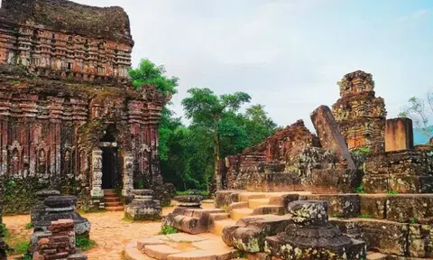 Khám phá Thánh địa Mỹ Sơn: Viên ngọc lịch sử và kiến trúc Chăm Pa tại Đà Nẵng