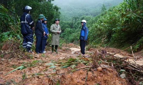 Chủ động ứng phó sạt lở, lũ quét tại Quảng Ngãi