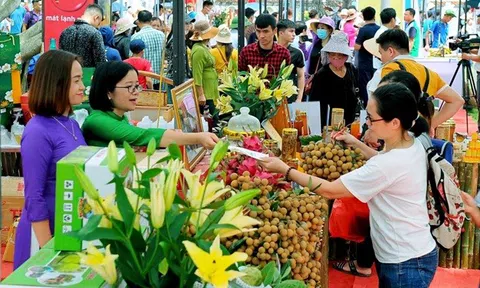 Nâng tầm sản phẩm OCOP từ không gian lễ hội truyền thống