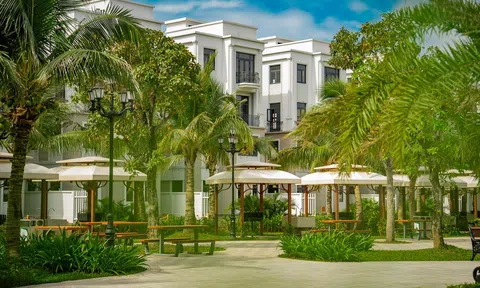 Khi giới tinh anh toàn cầu vẫn chọn đầu tư BĐS, biệt thự nhà phố Vịnh Xanh trở thành “của hiếm”