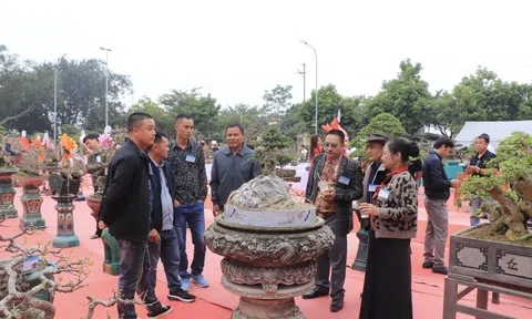 Phú Thọ: Triển lãm tác phẩm sinh vật cảnh nghệ thuật – Điểm hẹn của những tác phẩm giàu giá trị nghệ thuật