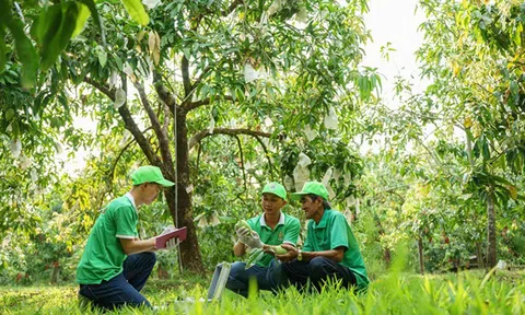 Đồng Tháp: Thúc đẩy phát triển nông nghiệp, nông thôn bằng “đòn bẩy” chính sách tín dụng