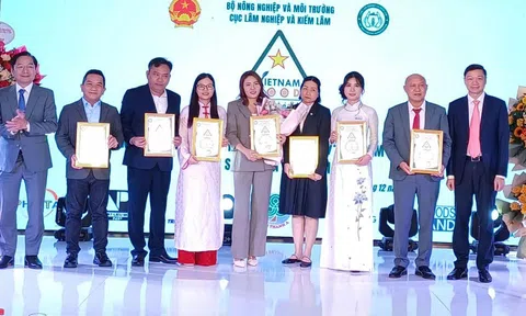 Góp phần nhận diện, khẳng định uy tín ngành gỗ Việt Nam