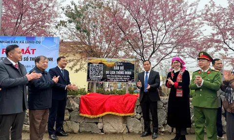 Tuyên Quang: Khai mạc Festival Hoa Mai anh đào 2026 ‘Lũng Cú – điểm hẹn muôn sắc hoa’