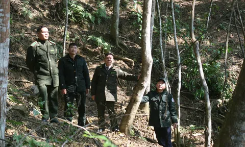 Tuyên Quang: Bền bỉ giữ vững “lá phổi xanh” Nà Hang