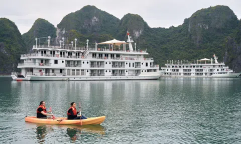 Nghỉ Tết không lo toan: Khi du thuyền là 'ngôi nhà di động' cho gia đình nhiều thế hệ