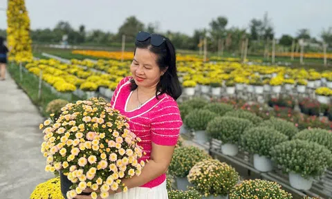 Đồng Tháp chỉ đạo đón Tết Nguyên đán Bính Ngọ vui tươi, lành mạnh