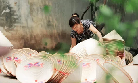 Giải bài toán thị hiếu cho sản phẩm OCOP bằng thiết kế sáng tạo
