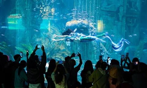 Hòn Tre bùng nổ mùa Tết với bộ ba siêu phẩm giải trí chưa từng có