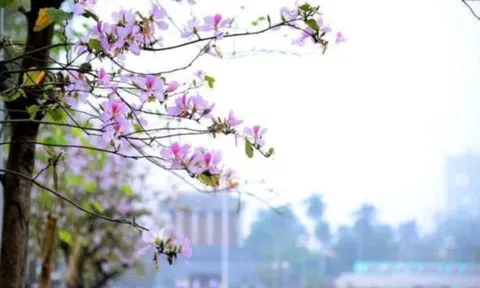 Hà Nội và mùa xuân