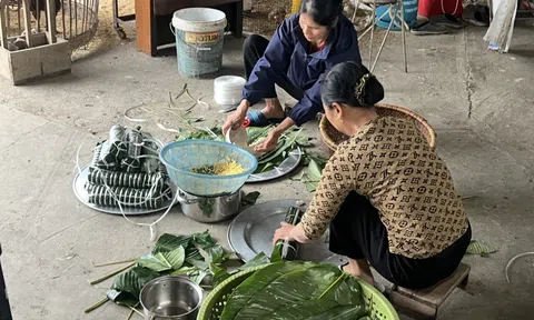 Gói bánh chưng ở Yên Thượng – Tết về từ bếp lửa làng quê