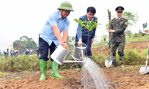 Tuyên Quang: Phát động ‘Tết trồng cây đời đời nhớ ơn Bác Hồ’ và phong trào thi đua năm 2026
