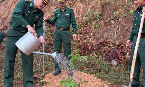 Quảng Ngãi: Tết trồng cây – gieo mầm xanh nơi biên cương