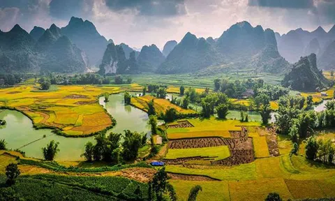 Chùm thơ Trần Phương Hồng Điểu