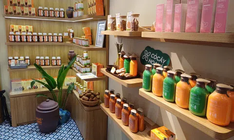 Tuổi trẻ góp phần lan tỏa “Sức sống hàng Việt” lần thứ 3