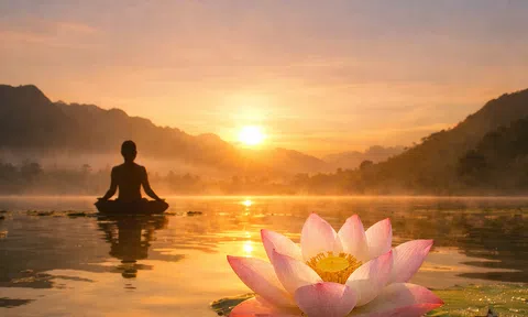 Từ hạnh phúc đến tâm an: Hành trình trở về với chính mình