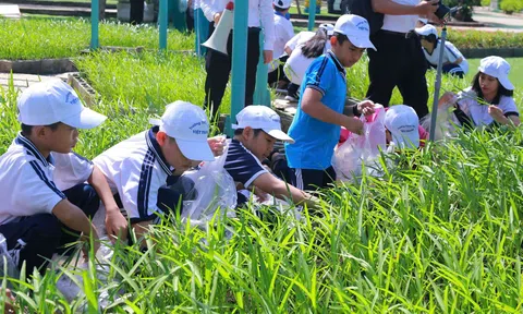 Đề án an toàn thực phẩm giai đoạn 2026 – 2030: Hướng tới nông nghiệp bền vững và hội nhập