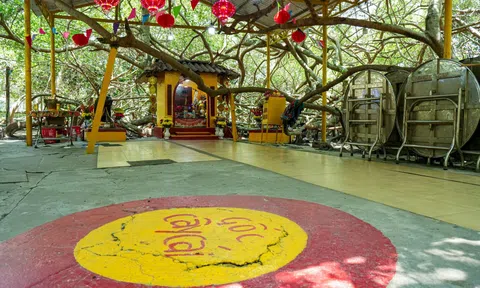 Cần Thơ: Khám phá Giàn Gừa trăm tuổi – Di tích xanh độc bản của miền Tây