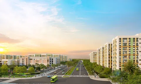 The Rise - Chuẩn sống kết nối cho gia đình trẻ tại Nam Hải Phòng